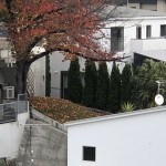 IMG_2537[1]