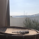 IMG_3041[1]