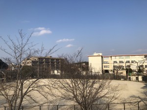 IMG_3045[1]