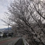IMG_3130[1]