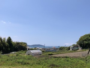 IMG_5163