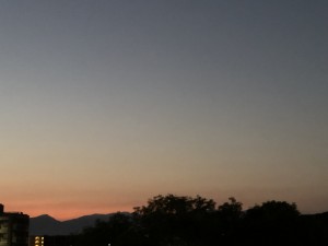 IMG_5244