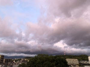IMG_5263