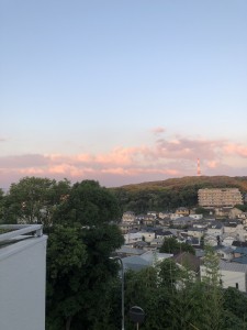 IMG_5298