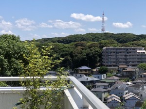 IMG_5352