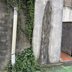 IMG_5372