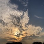 IMG_5387
