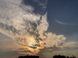 IMG_5387