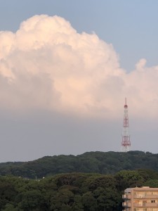 IMG_5410