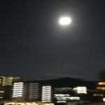 IMG_5460