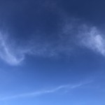 IMG_5476
