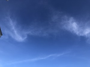IMG_5476