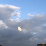IMG_5511