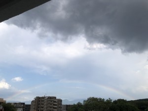 IMG_5567