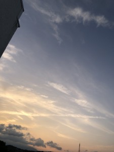 IMG_5678