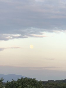 IMG_5701