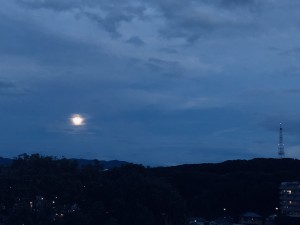 IMG_5714