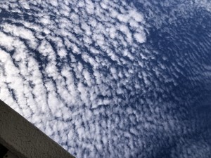 IMG_5746
