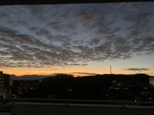 IMG_5787