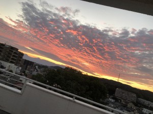 IMG_5792