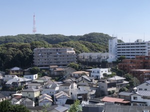 IMG_5818